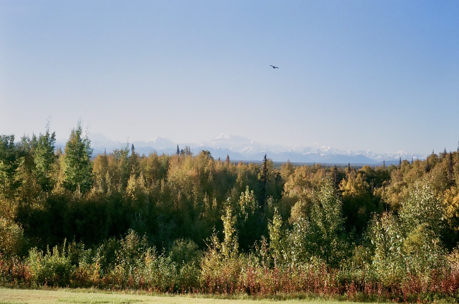 film photo of mt denali