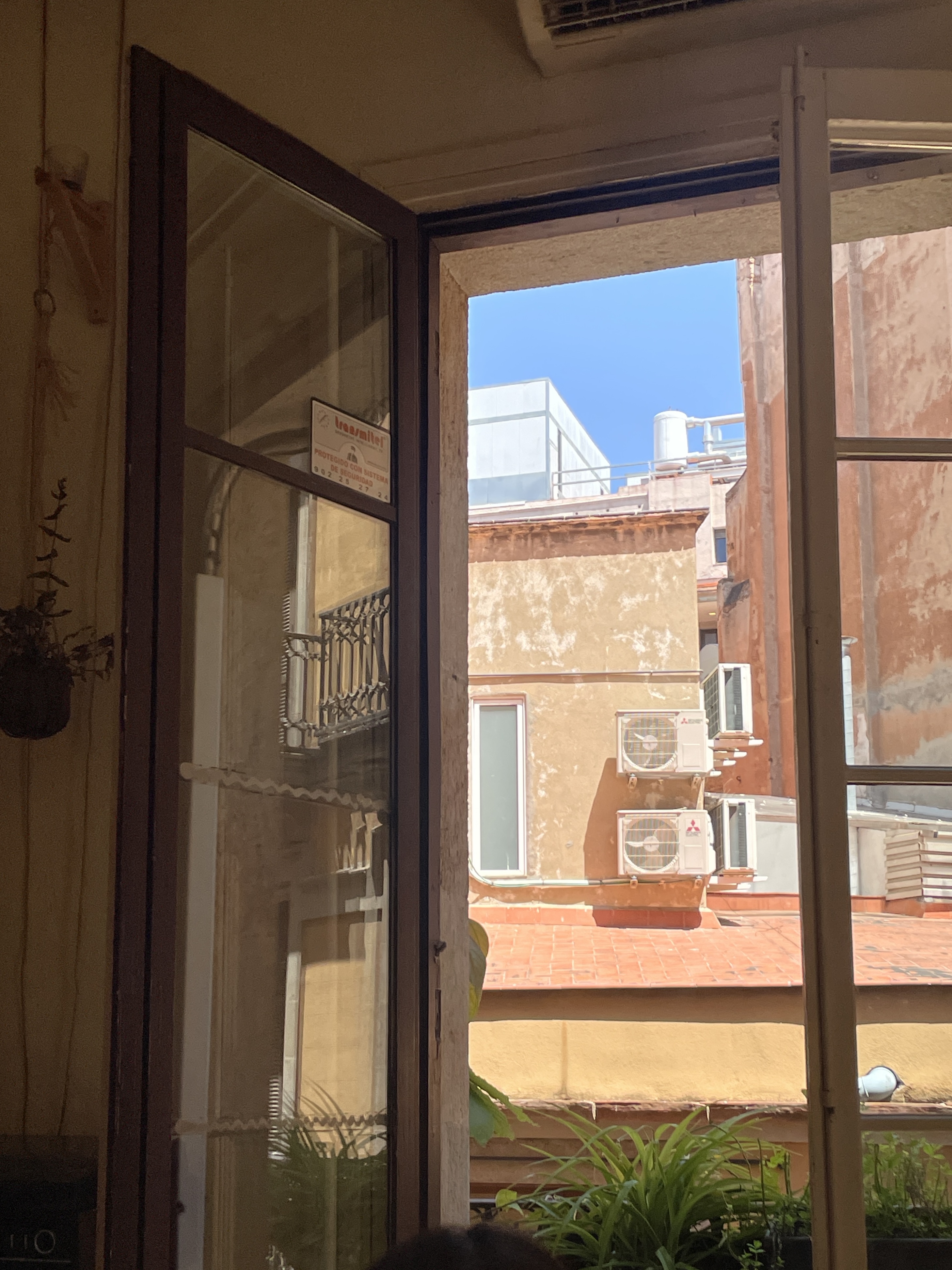 view from elias' apt