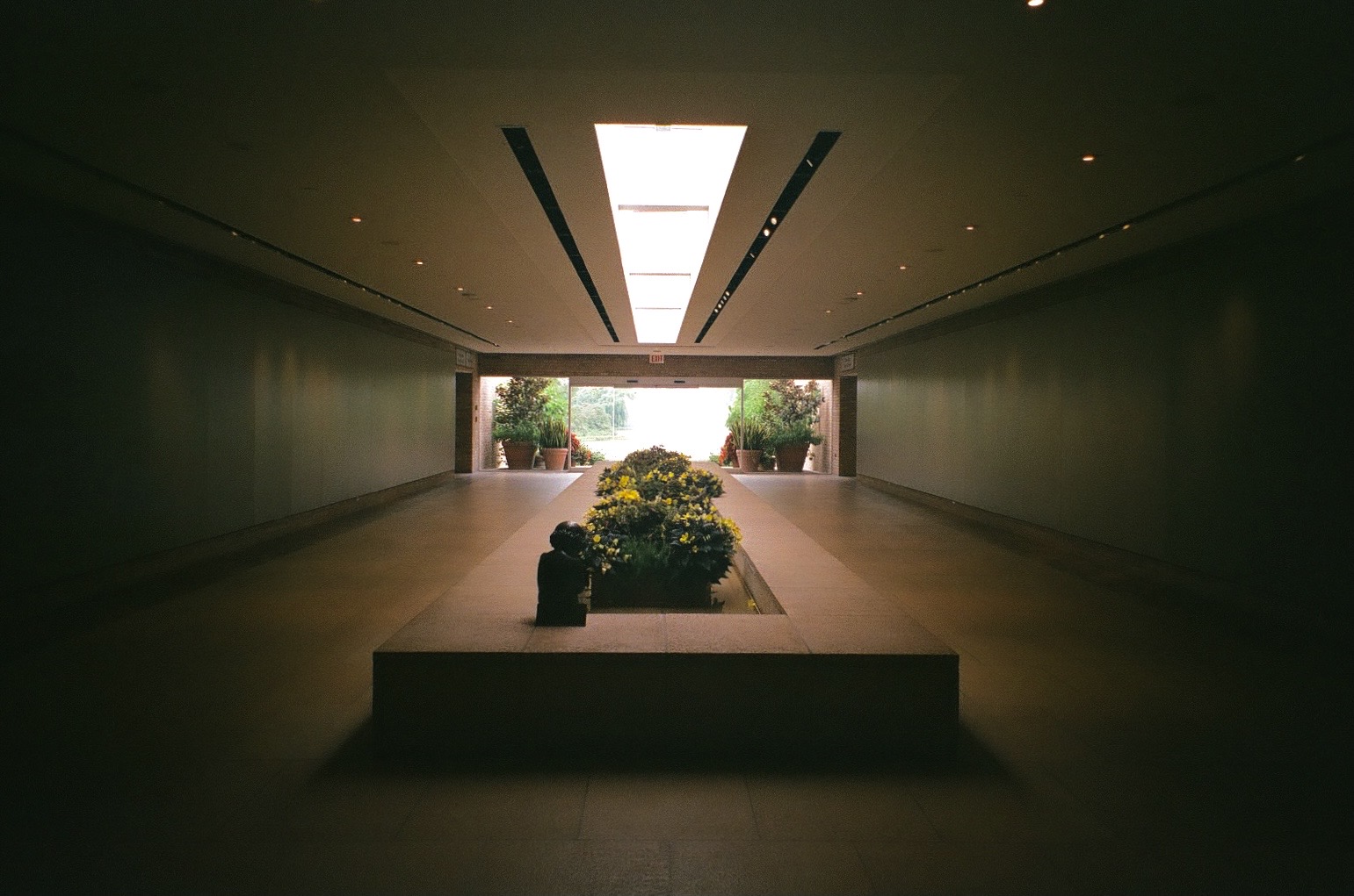 chicago botanical garden