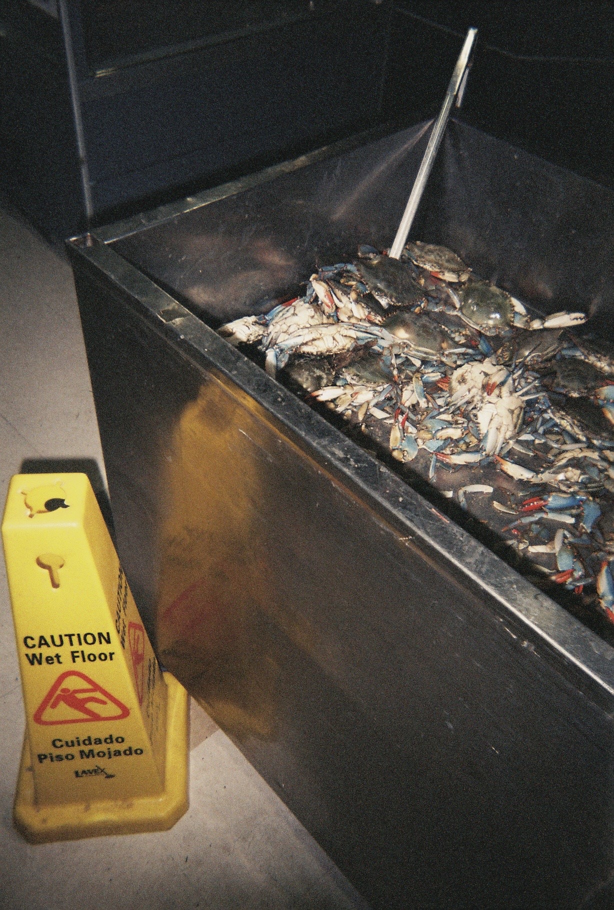saxophone player on michigan ave