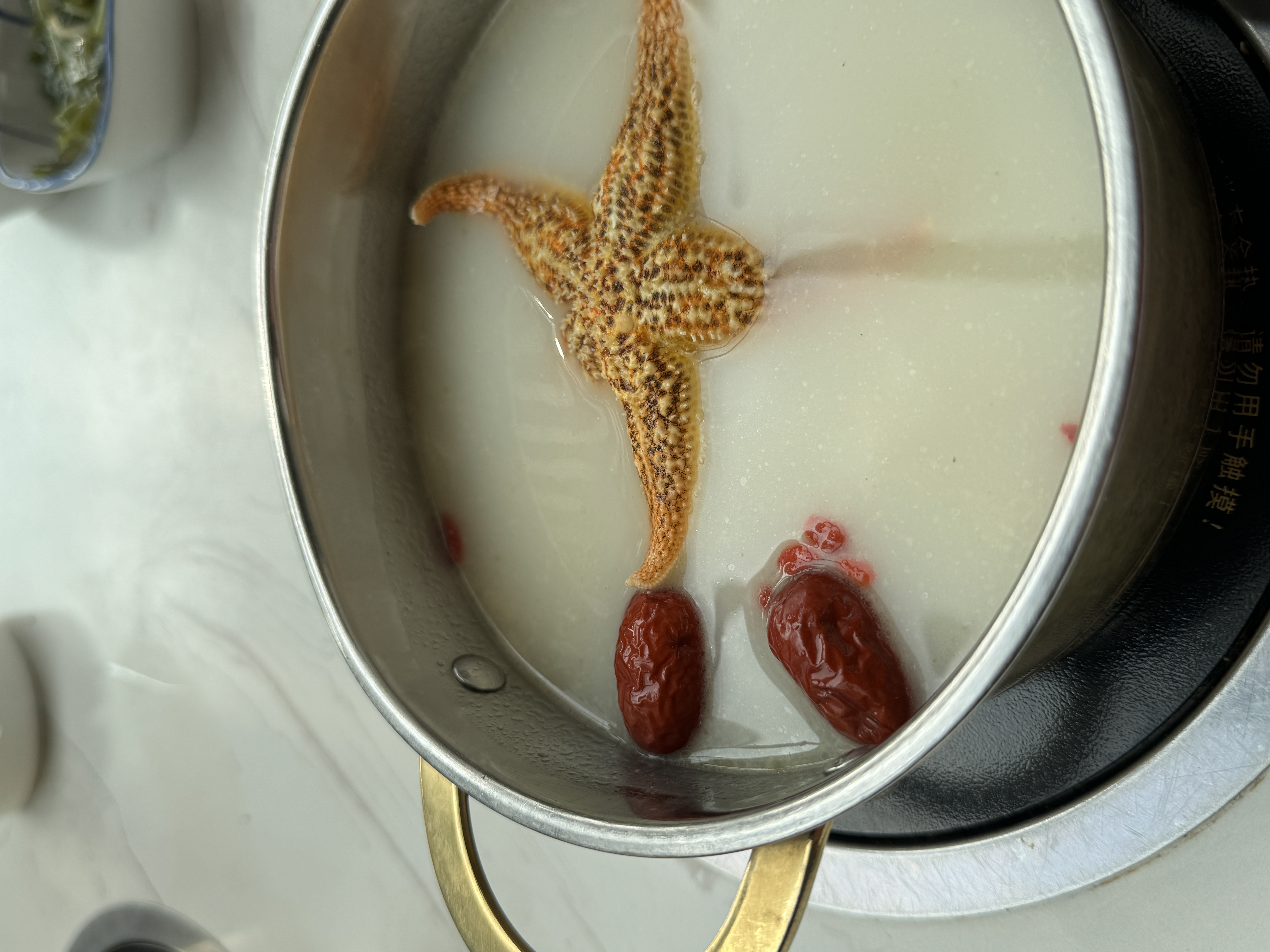 starfish broth