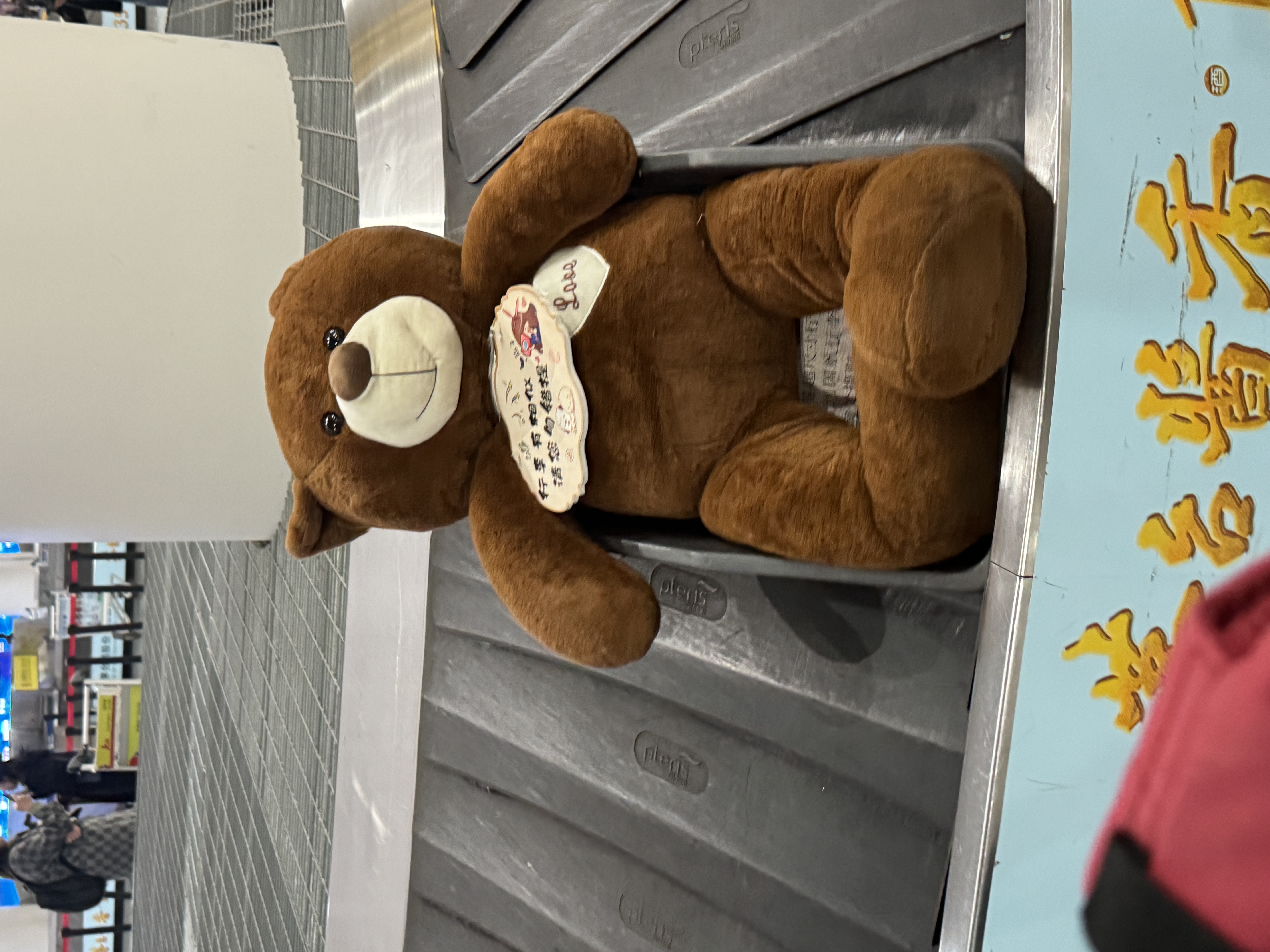 baggage claim bear