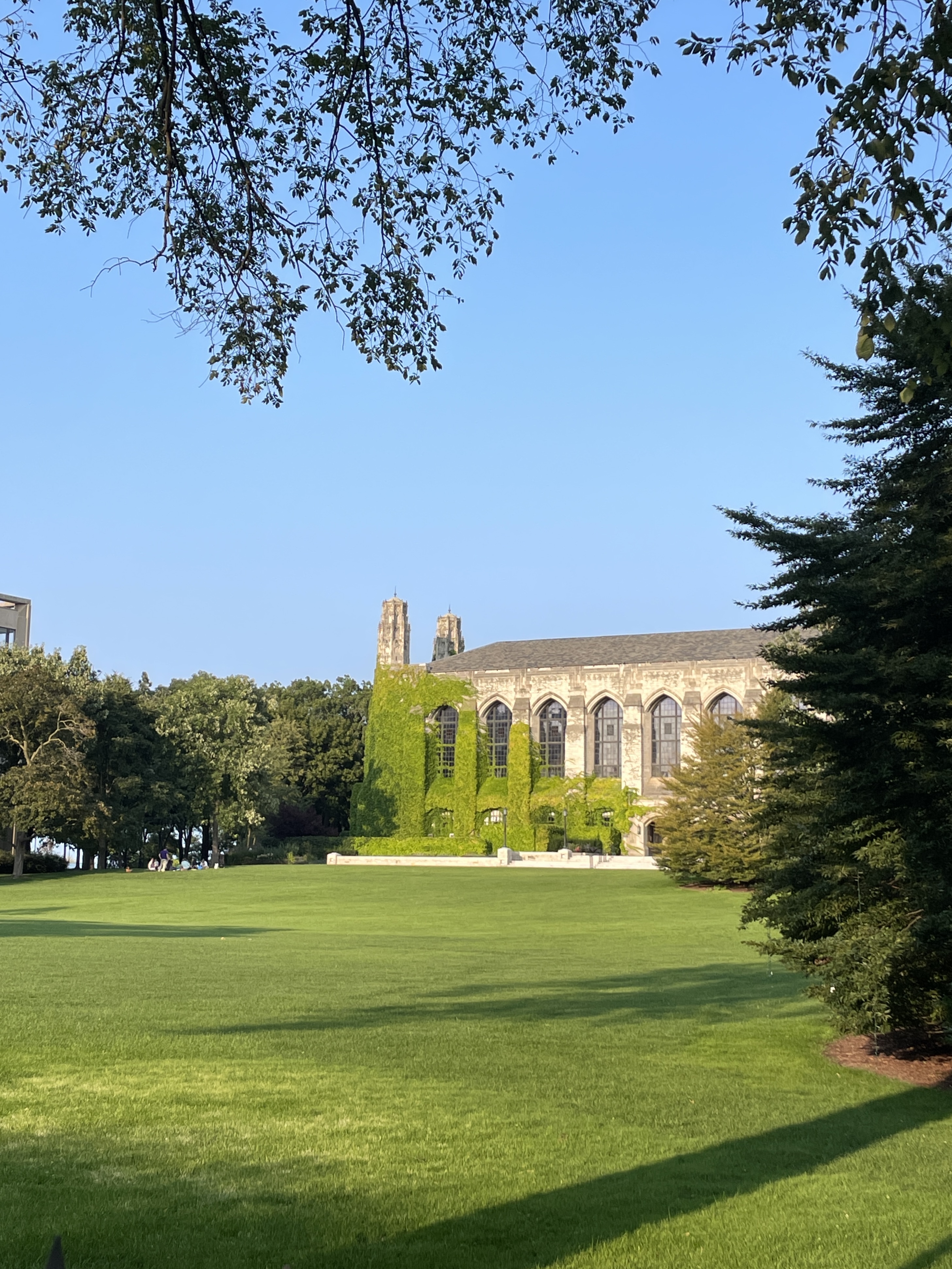 Deering Library during the summer