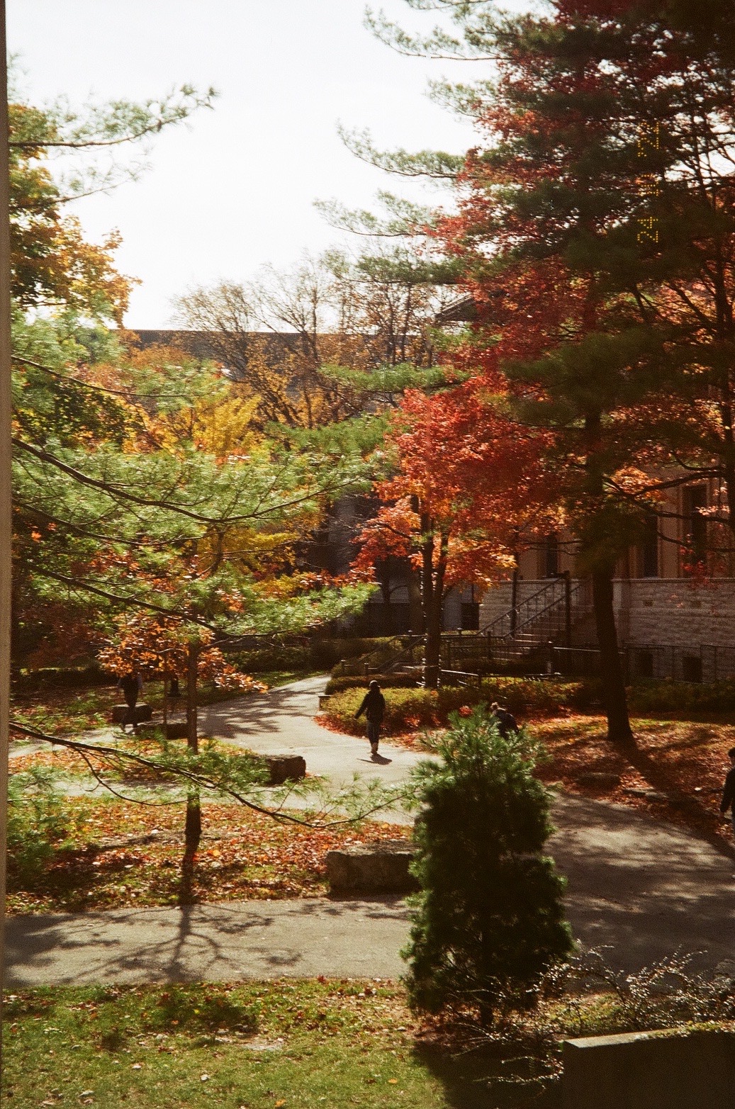 campus during fall