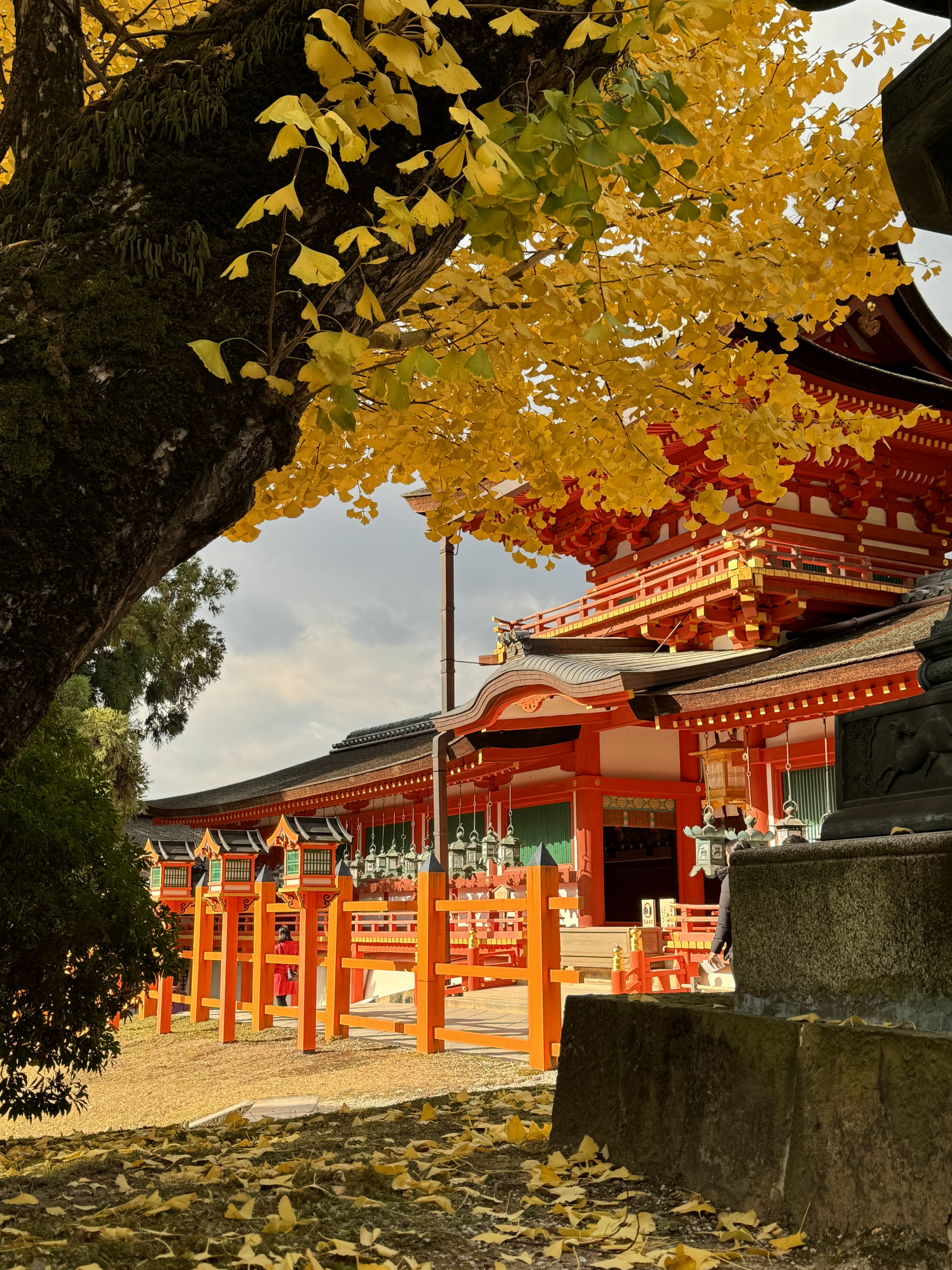glimpse of temple through a tree