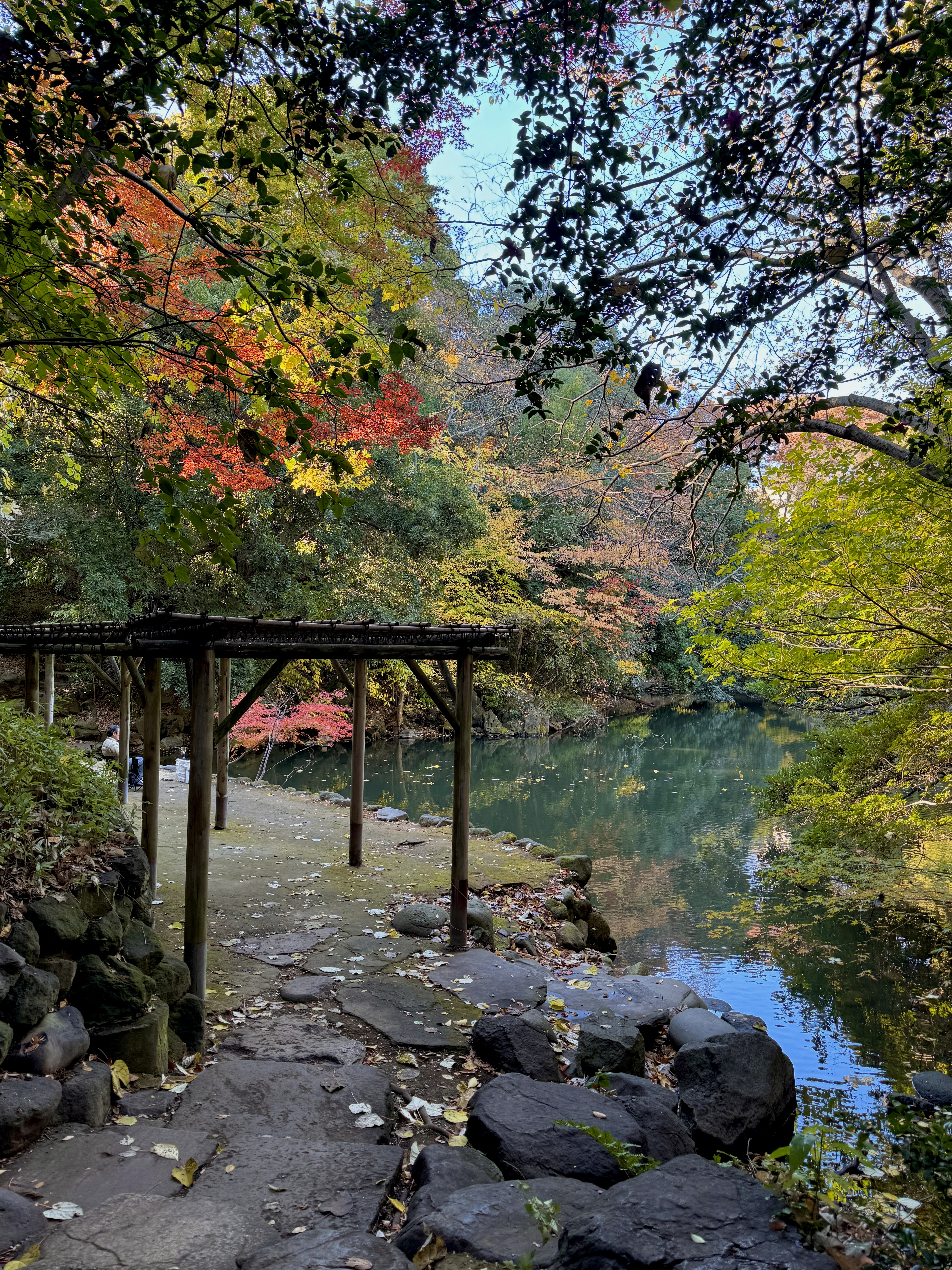 Tokyo University pond